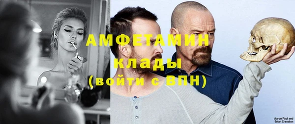 индика Алзамай