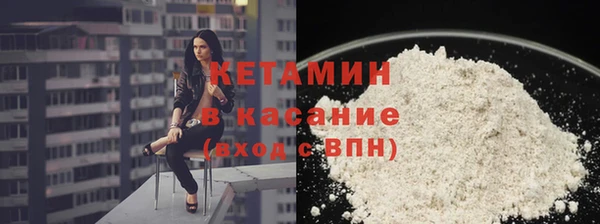 индика Алзамай