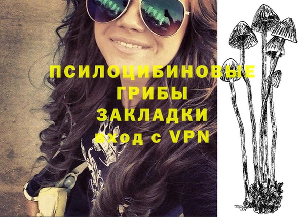индика Алзамай