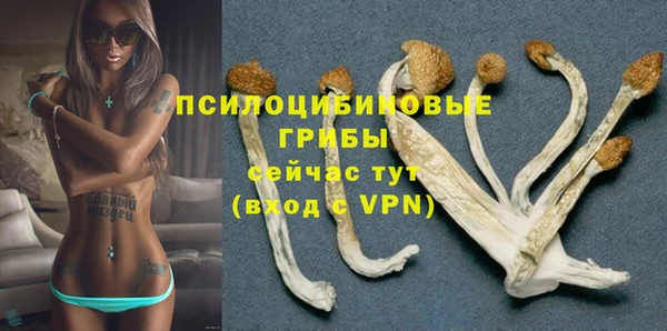 индика Алзамай