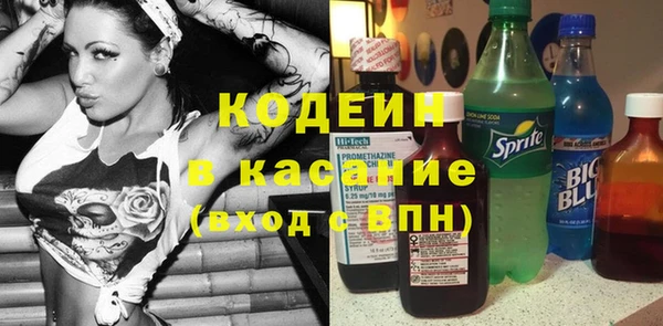 индика Алзамай