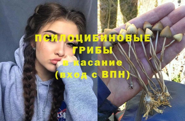 соль ск Алексин